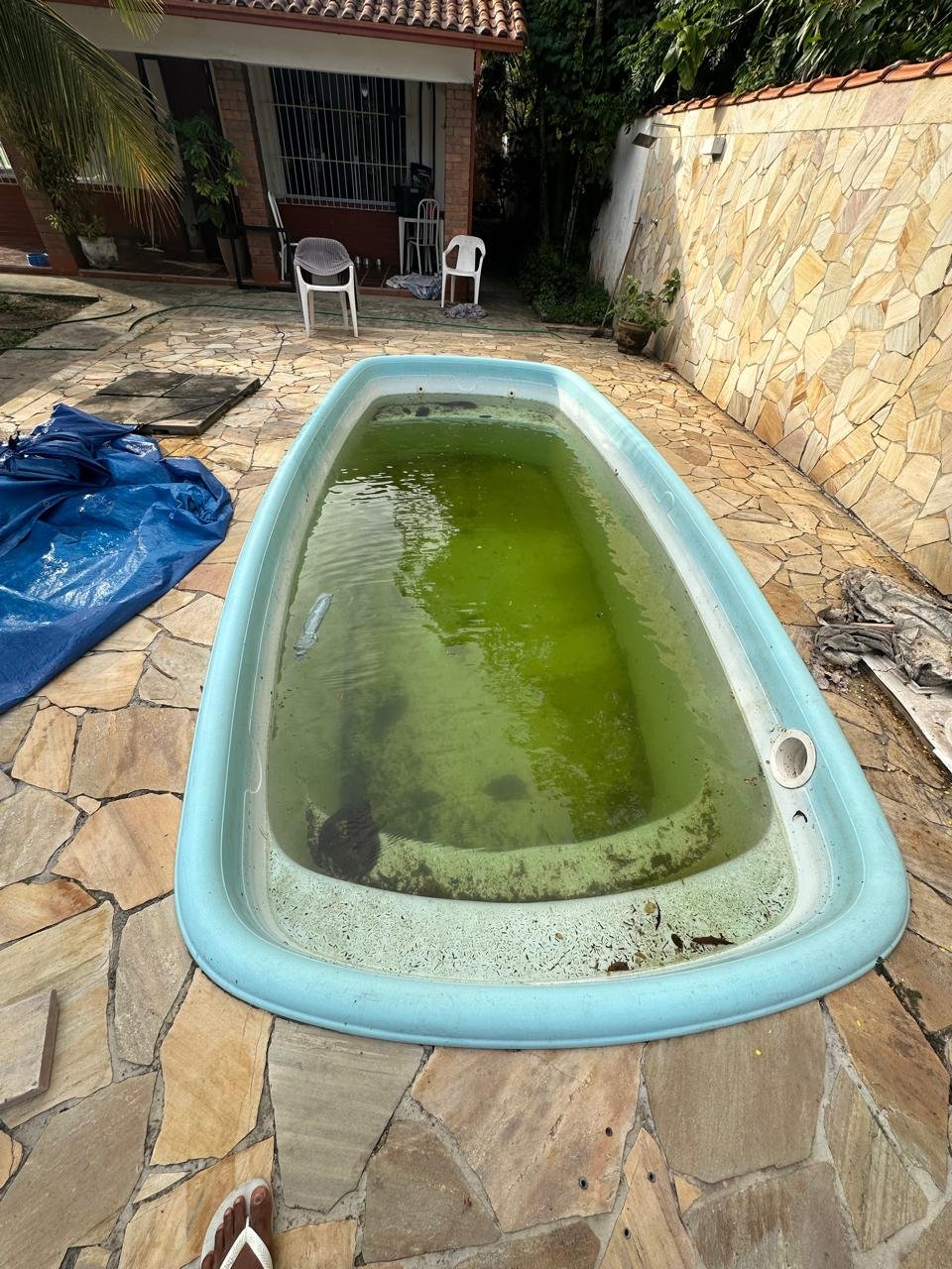 Piscina verde antes da limpeza GL Piscinas